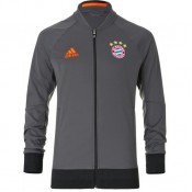 Veste Bayern 2016/2017 Gris France Métropolitaine